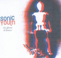 Sonic Youth : NYC Ghosts & Flowers
